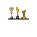 Trophäenregal für die Wandmontage